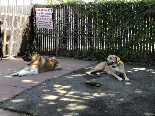 Cheap Shots, Second to None Pet Services - Veterinarian & Animal Hospital Gallery - United States