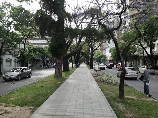 Paseo BV., Author: Gonzalo F. Tapiero Gallo