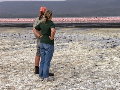 Photos of Muthaiga Travel
