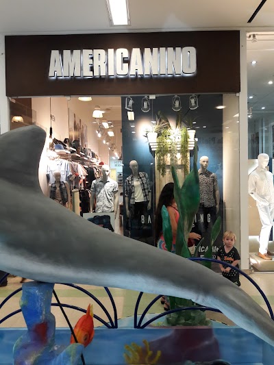 Photos of Americanino
