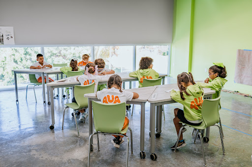 AUA Schools - Visual