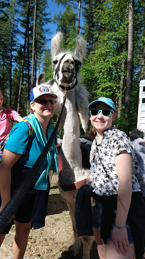 Swan Mountain Llama Trekking - Thumbnail