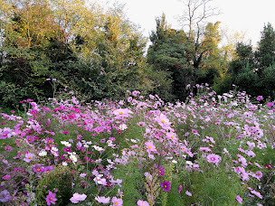 Photo n°13 de Centre ayurveda yoga Presence Béatrice Marin à Bourg-de-Péage (Professeur de yoga)