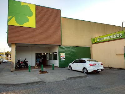 shopping-mall