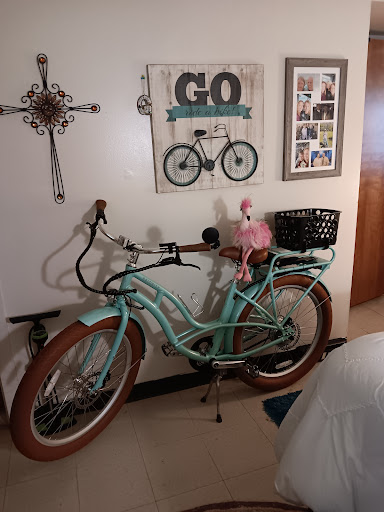 Arrow E-Bikes Gallery - United States