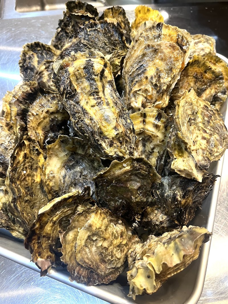 海鮮Ripple effect.1173 (リップルエフェクト)