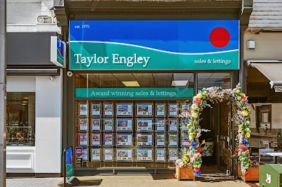 Taylor Engley Limited