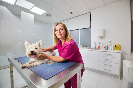 Clínica Veterinaria Salón