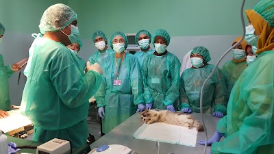 Photos of Airlangga University Veterinary Hospital Education