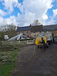 Photo n°27 de Ploërmel élagueur à Campénéac (Service d'élagage)