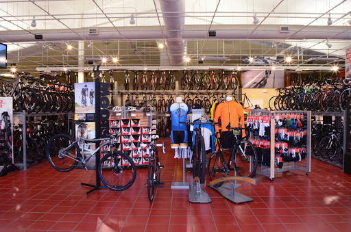 Motion Makers Bicycle Shop - Thumbnail