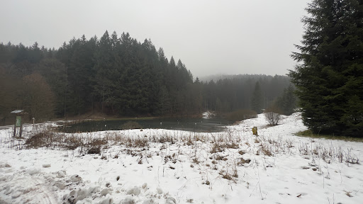 Dreisbachtal Teich - Thumbnail