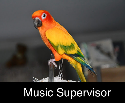 Floral Park Music Center - Thumbnail