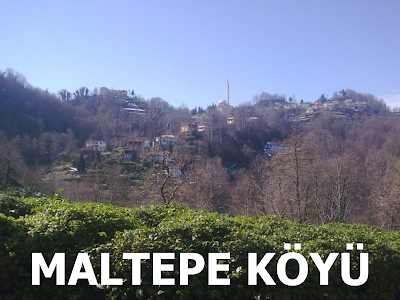 Maltepe Köyü Hos