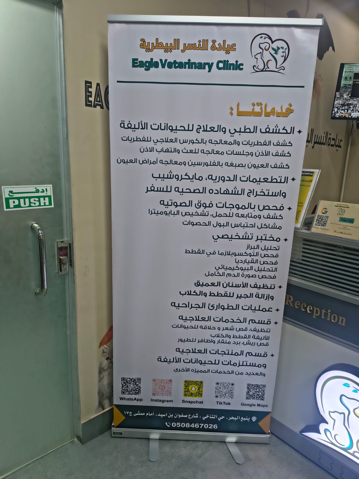 عيادة النسر البيطريه ينبع البحر - صورة 2