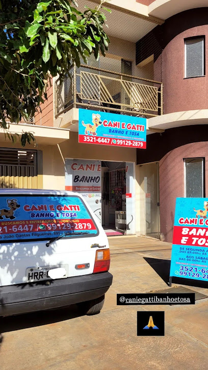 Cãotinho das Meninas Banho E Tosa