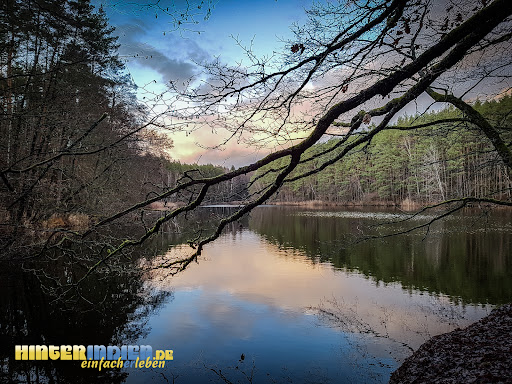 Mönchsweiher - Visual