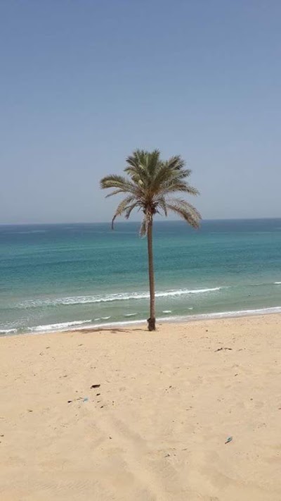 Photos of Health Affairs Directorate - North Sinai