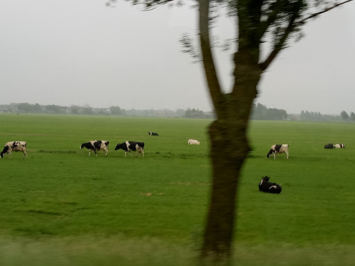 Lange Weeren - Thumbnail