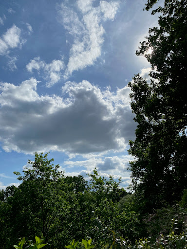 Heidmark - Visual