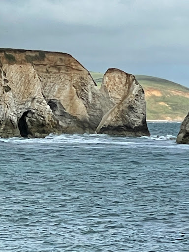 Surf Shack freshwater bay - Thumbnail
