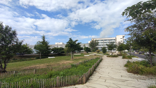 Parc Commandant Cousteau