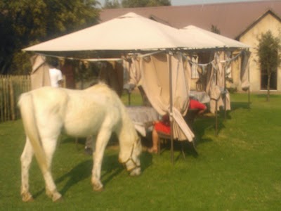 Photos of Villa Afriq, 22 de Beer str, Lydenburg, Mpumalanga