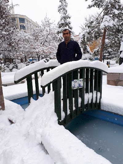 Feqıye Teyran Park