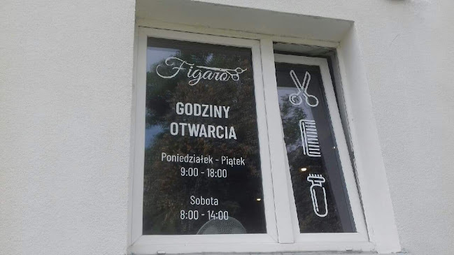 Figaro Fryzjer Męski
