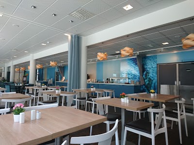 Photos of Scandic Haugesund