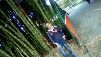 Photos of Lineal La Pereira Park