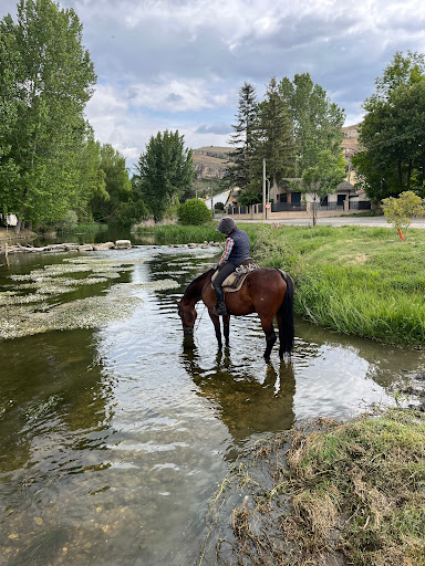Caballos de Castilla - Ecuestur - Thumbnail