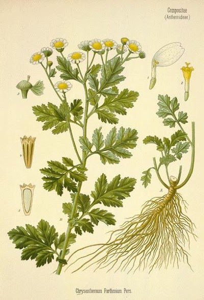 Photos of Beta Health Herbal Clinic