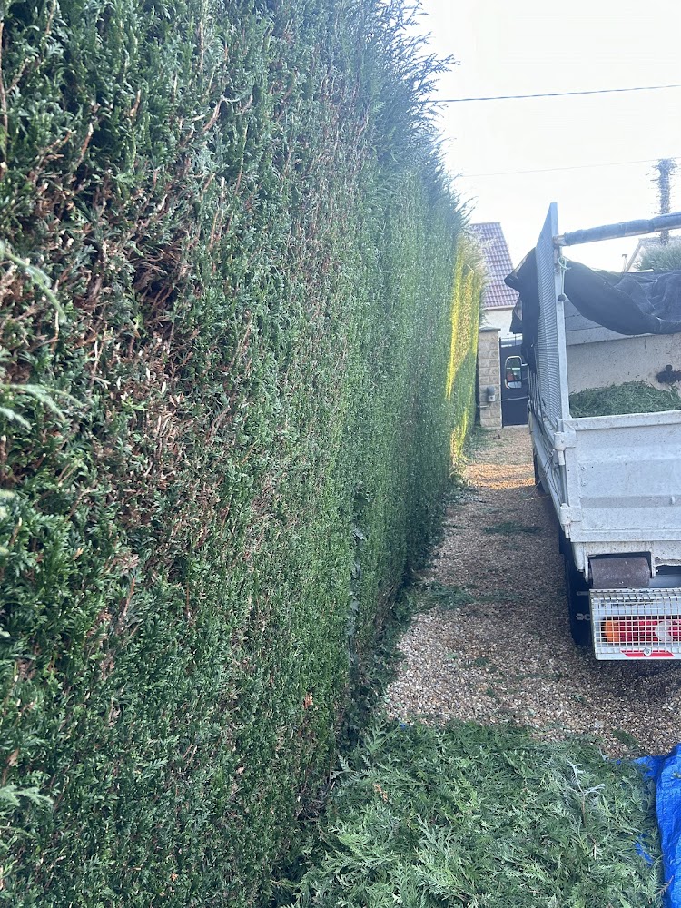 ESPACES VERTS 27 LB -TAILLE DE HAIES 27 - ELAGAGE 27 - ENTRETIEN JARDIN 27