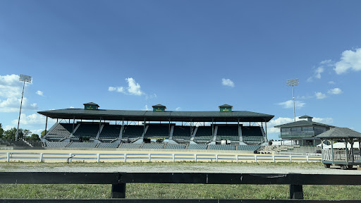 Rolex Stadium - Visual
