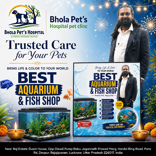 Bhola Pet's Hospital is the best animal hospital offering trusted pet care, grooming, and veterin… post image