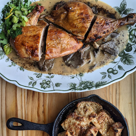 Northern Spy by null