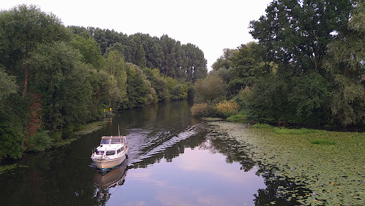 Pferdeinsel - Visual