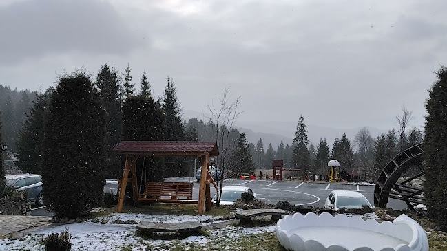 Opinii despre Pensiunea LIN Cota 1000 în Sinaia - Hotel