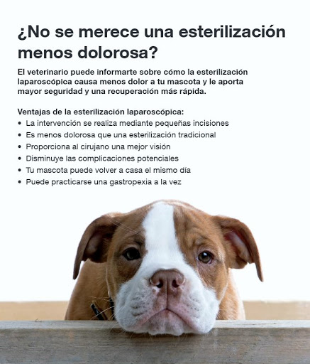 Centro Veterinario Zarabanda