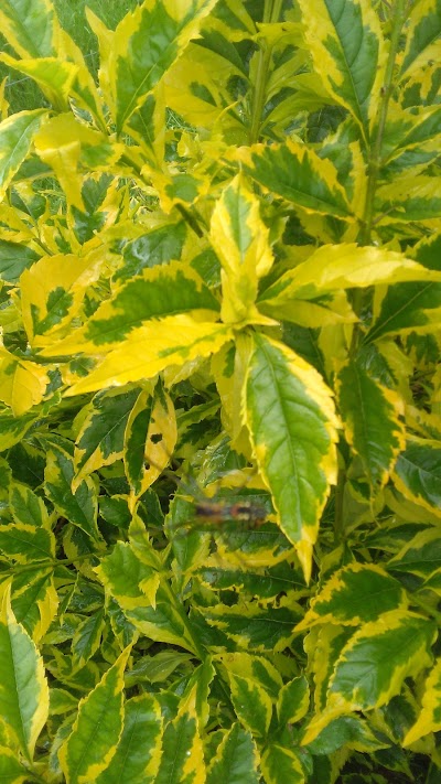 Photos of Parque Verde Y Agua