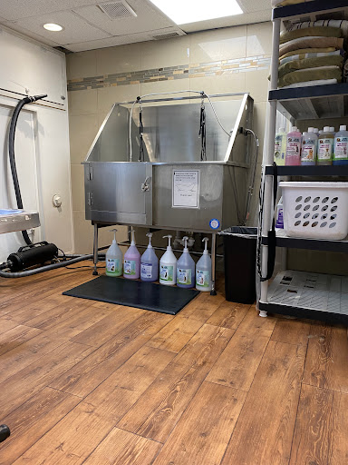 Trumbull Animal Hospital Grooming - Thumbnail