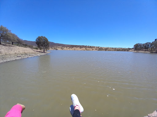 Laguna del Carretero Gallery - Mexico