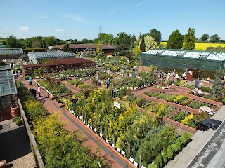 Ashwood Nurseries Ltd