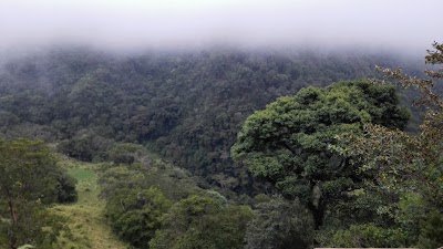 Photos of Natural Serran&iacute;a De Los Yarigu&iacute;es National Park