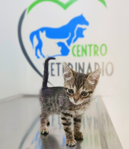 Centro Veterinario