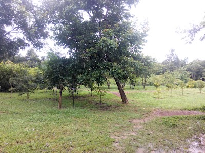 Photos of Apsara Spice Garden