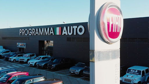 Programma Auto Fiat Professional - Visual