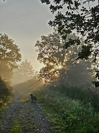 Elsbacher Weiher Gallery - Germany