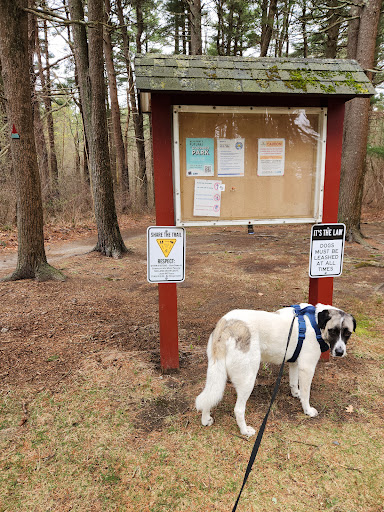 Goddard Park Beach Trail Head - Thumbnail
